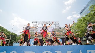 [4K] 信衆　にっぽんど真ん中祭り 2019 どまつり 土曜日