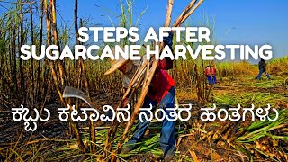 ಕೋಲಿ ( ಕುಳೆ ) ಕಬ್ಬು | Sugarcane Kalpavruksh Group 100-Ton Target Meeting 31/10/2021