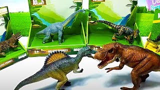 Lots of Dinosaurs - Spinosaurus, T-Rex, Ankylosaurus, Brachiosaurus, Allosaurus