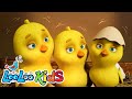 OS PINTINHOS DIZEM 🐥 Vídeos educativos para crianças - LooLoo Kids Português