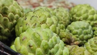 custard apple 🍏🍏#seethapalam#seethapazama#😋😋