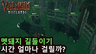 발헤임,발하임(Valheim) 멧돼지 길들이기! 시간 얼마나 걸릴까?