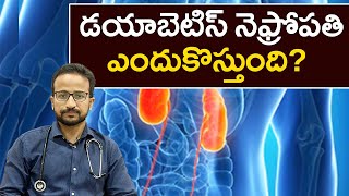 What causes diabetes Nephropathy | డయాబెటిస్ నెఫ్రోపతి ఎందుకొస్తుంది? | Samayam Telugu