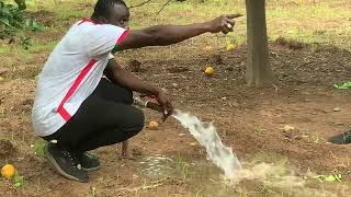 Notre méthode de Gestion d’eau pour arroser 15ha à moindre coût