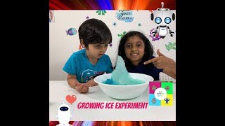 Growing Ice science experiment - NS Robot Kidz :)