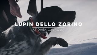 Lupin dello Zorino | Mountain Hunters