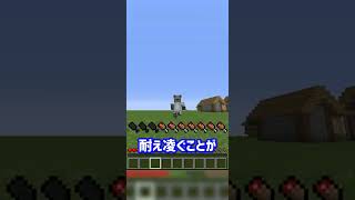 9年間発見されていなかったマイクラのバグ...【マイクラ豆知識 解説 裏技】#shorts