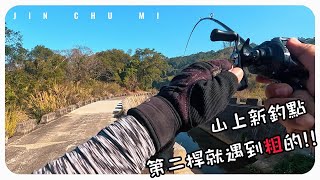 【釣魚津觸咪】清明節前意外發現新釣點 #V特 #路亞 #JinChuMi #JCM #Fishing #Lure