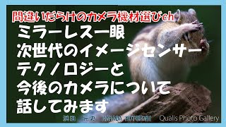 間違いだらけのカメラ機材選びch 「ミラーレス一眼次世代のイメージセンサーテクノロジーと今後のカメラについて話してみます」