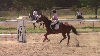 2016　北日本学生馬術大会　小障害C　髙橋春南選手　北暁号