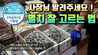 멸치 잘 고르는 법. 사장님께 직접 물었습니다 [민락골목시장 만재건어물]