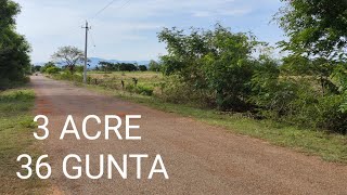 6) 3 ACRE 36 GUNTA | GUAVA FARM Fr SALE | 164 Km BENGALURU | TAR ROAD APPROACH| @SurabhiProperties