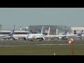 【4k】成田空港 さくらの山公園 全日空 超巨大旅客機 フライング・ホヌ ラニ君 ハワイから到着