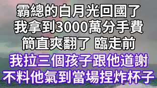 霸總的白月光回國了！我拿到3000萬分手費！簡直爽翻了 臨走前！我拉三個孩子跟他道謝！不料他氣到當場捏炸杯子！#為人處世 #幸福人生#為人處世 #生活經驗 #情感故事#以房养老#唯美频道 #