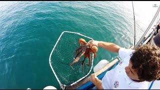Video 4K Pesca @ Pesca365HD GoPro HERO4