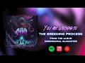 MCMURDER - THE BREEDING PROCESS [OFFICIAL VISUALIZER] (2024) SW EXCLUSIVE