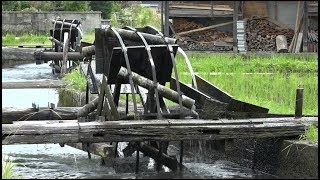 懐かしい田園風景　今年も水揚げ水車が回る　岡山・津山市