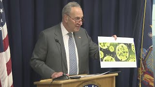 Schumer: CDC Cannot Access 'Rapid Response Dollars' To Fight Deadly Coronavirus In U.S.