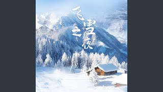 飞雪之夜