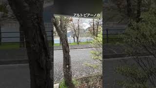 アルトピアーノの車窓から