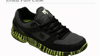 Top 10 DC Shoes