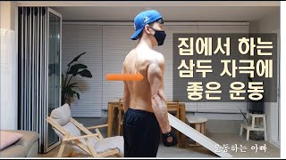 집에서 하는 삼두 자극에 좋은 운동