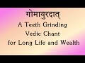 TEETH GRINDING Vedic Chant | Blessings for Long Life, Wealth, Rain | Rig Veda | Ghana | K Suresh