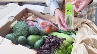 How buying local produce can be easier on your wallet