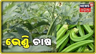 Watch Modern Farming Method \u0026 Technology | Annadata(05/08/2019)