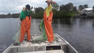 Two brothers doing what they love scrapping the fish up roe mullet fishing