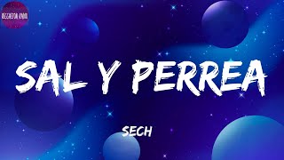 Sech -Sal y Perrea(letra)