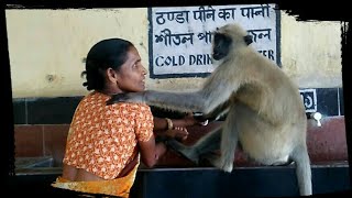 'HEART TOUCHING RELATIONS OF WOMAN WITH MONKEY' - Incredible India