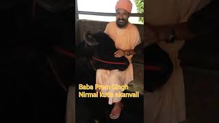 Khali ਖਲੀ bull खली बुल video with baba ji🙏 ਬਾਬਾ ਪਰੇਮ ਸਿੰਘ ਨਿਰਮਲ ਕੁਟੀਆ