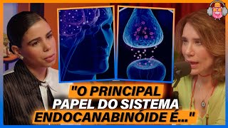 SISTEMA ENDOCANABINÓIDE - Dra. Ana Caroline (Psiquiatra e Estudiosa da Cannabis)