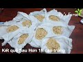 thu hoạch 500gr trứng rlĐ ngày thế nào