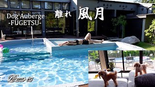 【Dog Auberge 離れ 風月】千葉県勝浦市ドッグオーベルジュ離れ風月