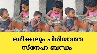 ഒരു കുഞ്ഞു അമ്മയും കുഞ്ഞു മോളും  ഇവരുടെ സ്നേഹ ബന്ധം😍, എത്ര cute ആണ് അല്ലേ 😍😍