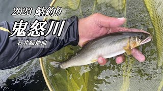 2023鮎釣り 鬼怒川 想定よりデカすぎた！