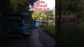 ඔයිට වඩා හොඳයි යකෝ කණට ගැහුවා