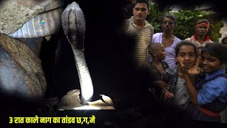 खतरनाक मंज़र गरीब के घर में, 3 रात काले नाग साँप का तांडव छत्तीसगढ़ में | Dangerous rescue cobra in CG