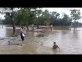 ভেসে গেছে ঘরবাড়ি ফসল বিধ্বস্ত সড়ক flood news update cumilla news prothom alo