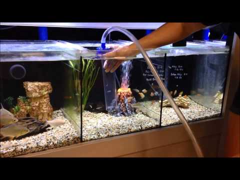 How to use a gravel vac to vacuum your aquarium How to use a gravel vac to vacuum your aquarium