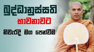 වඩපු වාර ගාණ ගණන් කරන්න නෙවෙයි බුද්ධානුස්සතිය | Ven.Kirulapana Dhammawijaya Thero