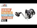 Shimano Tekota HG TEK601HGA Levelwind Reel | J&H Tackle