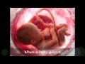 Maher Zain - Open Your Eyes + subs