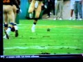 Download Animals interrupting sports In Mp4 3Gp Full HD Video