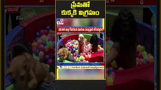 ప్రేమతో కుక్కకి విగ్రహం | Dog Statue - TV9