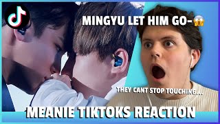 Reacting To CRAZY MEANIE TIKTOKS! (KDRAMA VIBES! WONWOO & MINGYU SEVENTEEN)