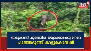 Wild Elephant Attack | നാടുകാണി ചുരത്തിൽ യാത്രകാർക്കു നേരെ പഞ്ഞടുത്ത് കാട്ടുകൊമ്പൻ | Malayalam News