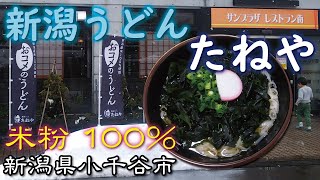 新潟うどん🍜🥢『たねや』米粉100％グルテンフリー絶品！《新潟県小千谷市》